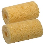 sponges-COP-3008