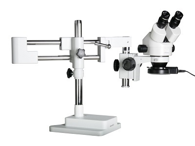 microscope-ESC33262