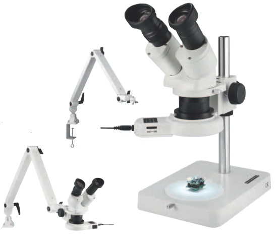 microscope-ESC33262